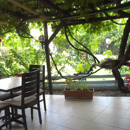Otel Maviev 3*