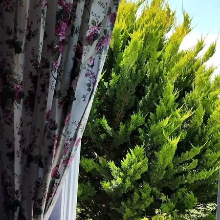 Maviev Otel Çeşme