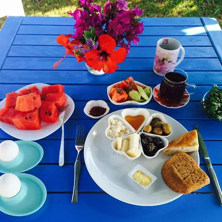 Otel Maviev 3*
