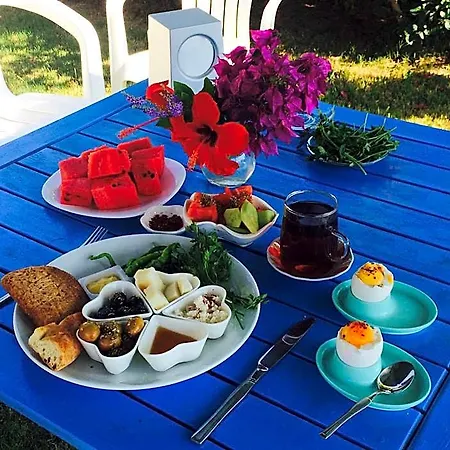 Maviev Otel